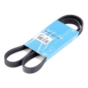 CINTA SERVIZI CON 2 LITRI ANTIGELO FIAT PANDA PUNTO 500 E LANCIA Y 1.2 BENZINA